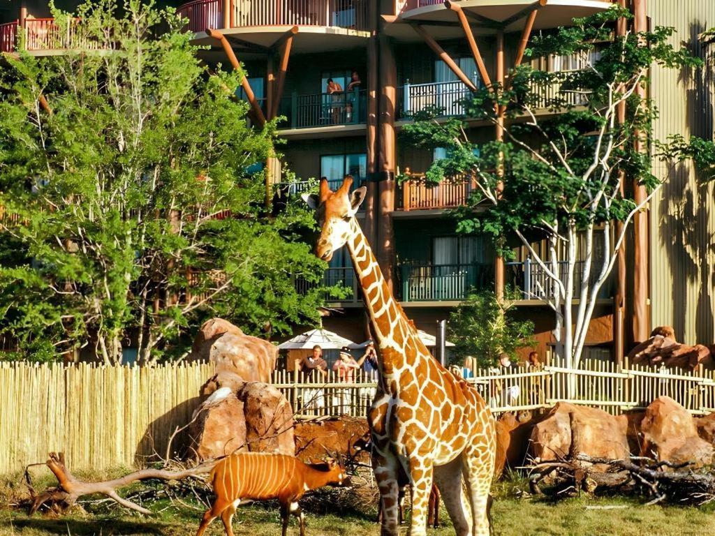 Disney'S Animal Kingdom Lodge Four Corners 外观 照片