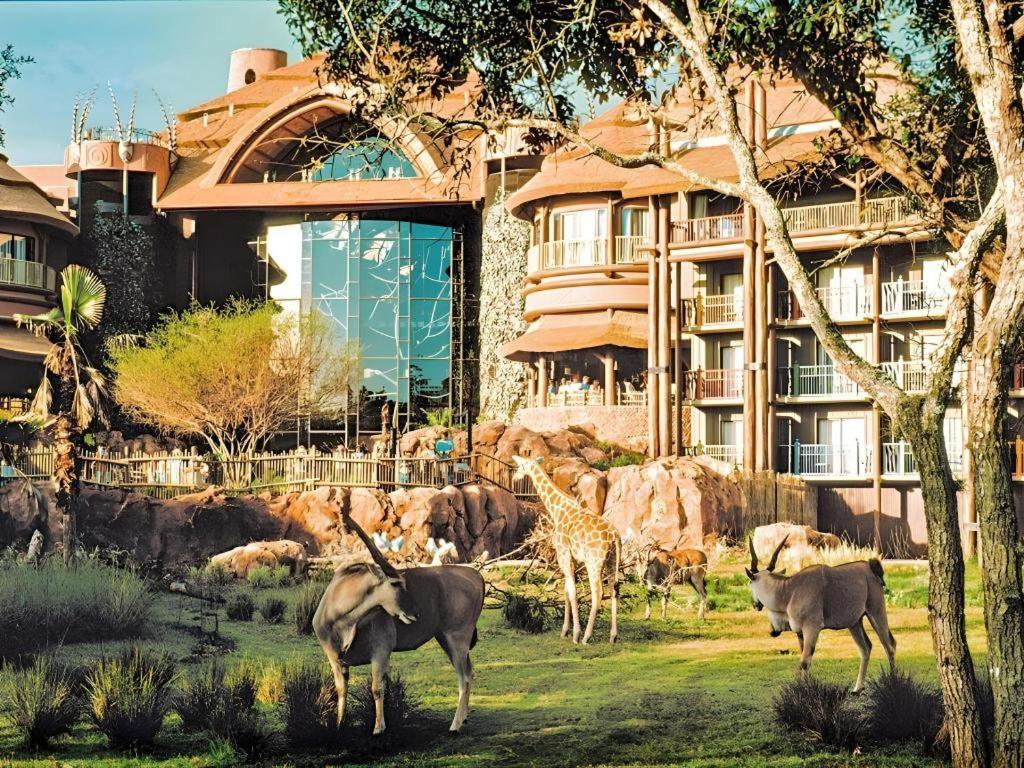Disney'S Animal Kingdom Lodge Four Corners 外观 照片