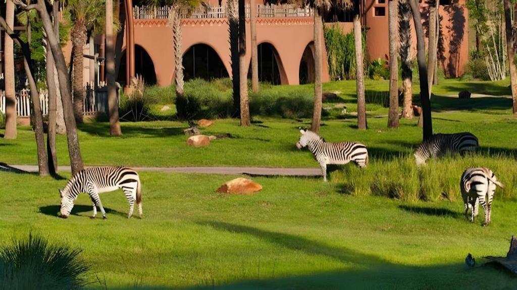 Disney'S Animal Kingdom Lodge Four Corners 外观 照片